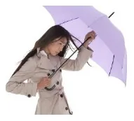 共用选项 A